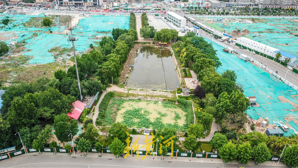 济南北园这片荷塘纳入安置房建设片区
