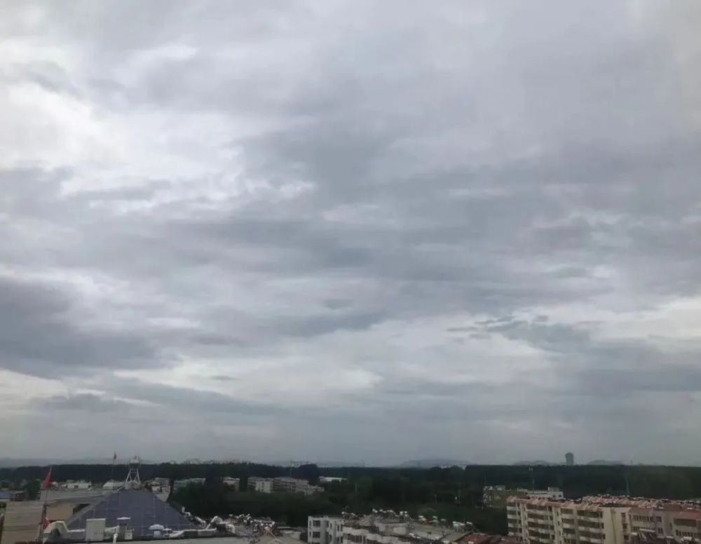 台风！暴雨！曲阜发布双预警！