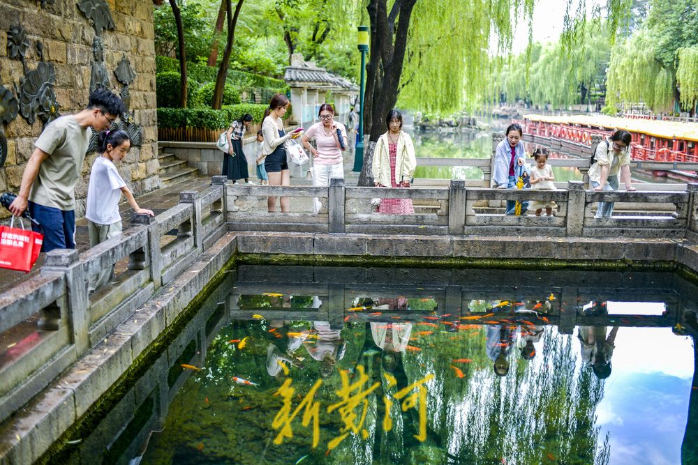 一年四季 泉在济南丨雨助泉涌！泉城众泉水位攀升，独特水景赛江南