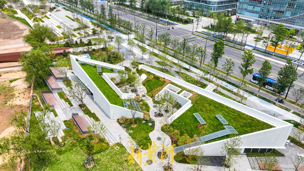 放眼皆是绿！济南杨家河两岸绿化提升工程有新进展