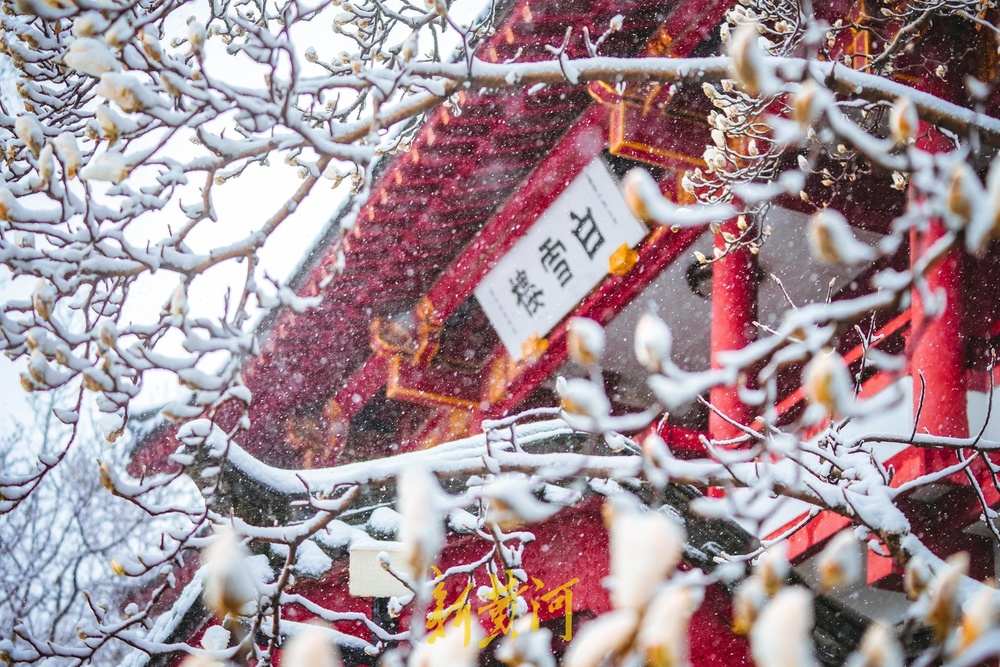 琼楼玉宇，如诗如画！无滤镜无特效的泉城雪景美爆了