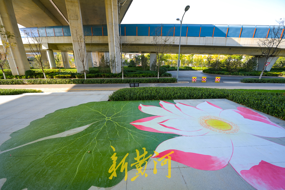 二环高架下新增荷花彩绘主题景观带