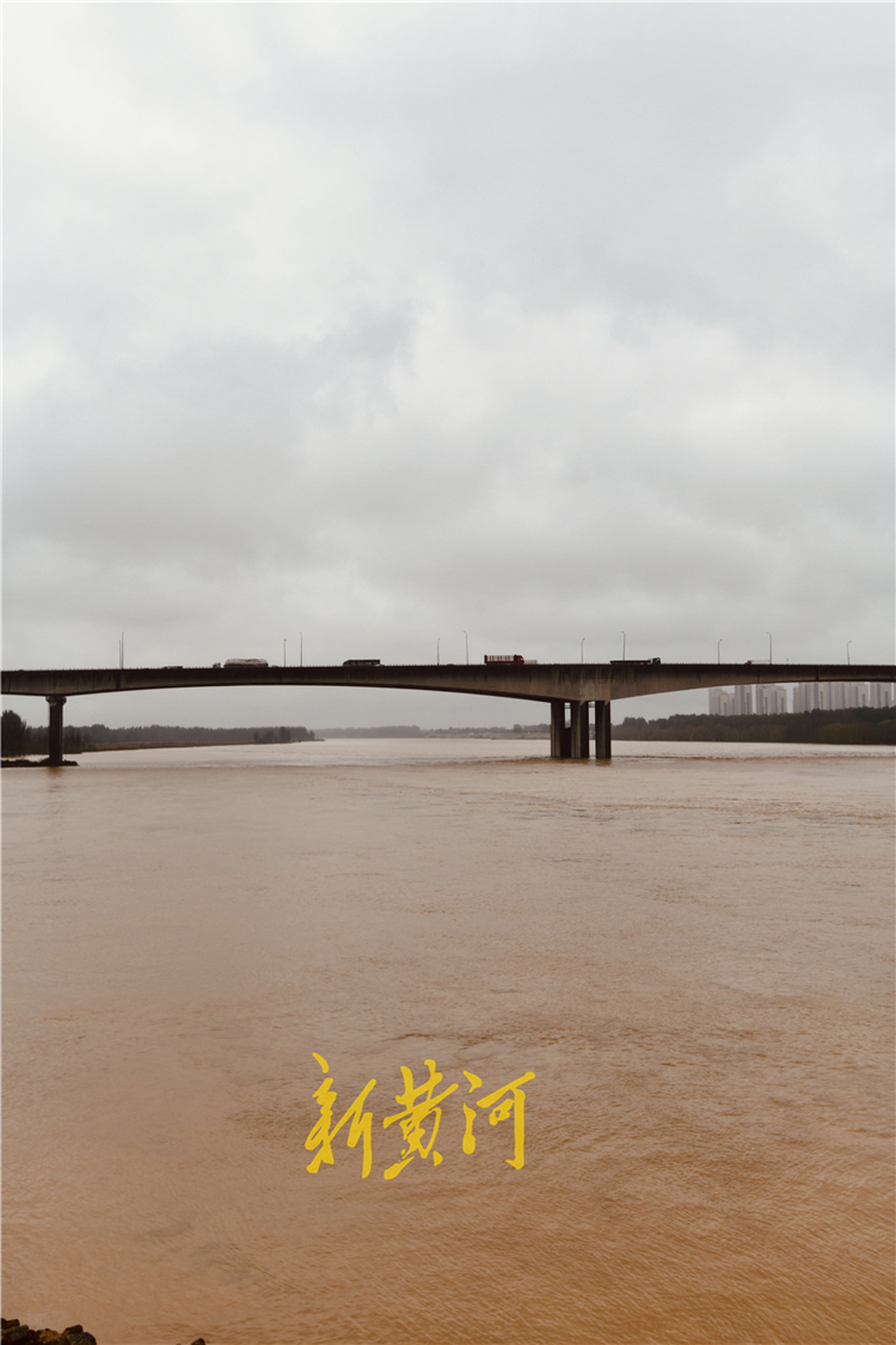 守护黄河：抛石稳固堤坝，24小时值守