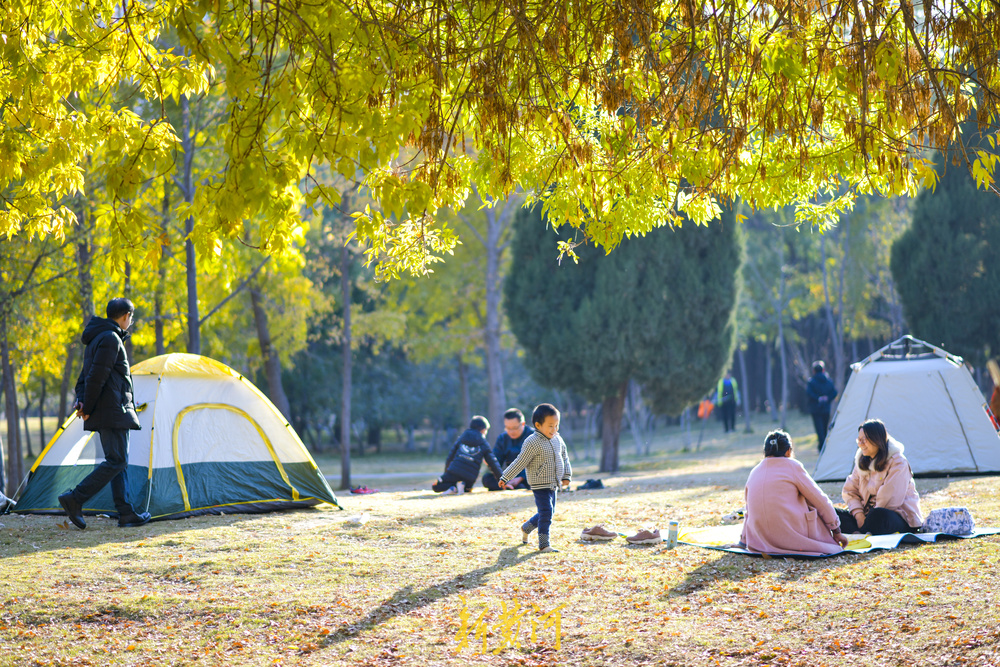 气温回升秋去秋又回  最美共享绿地感受初冬暖阳
