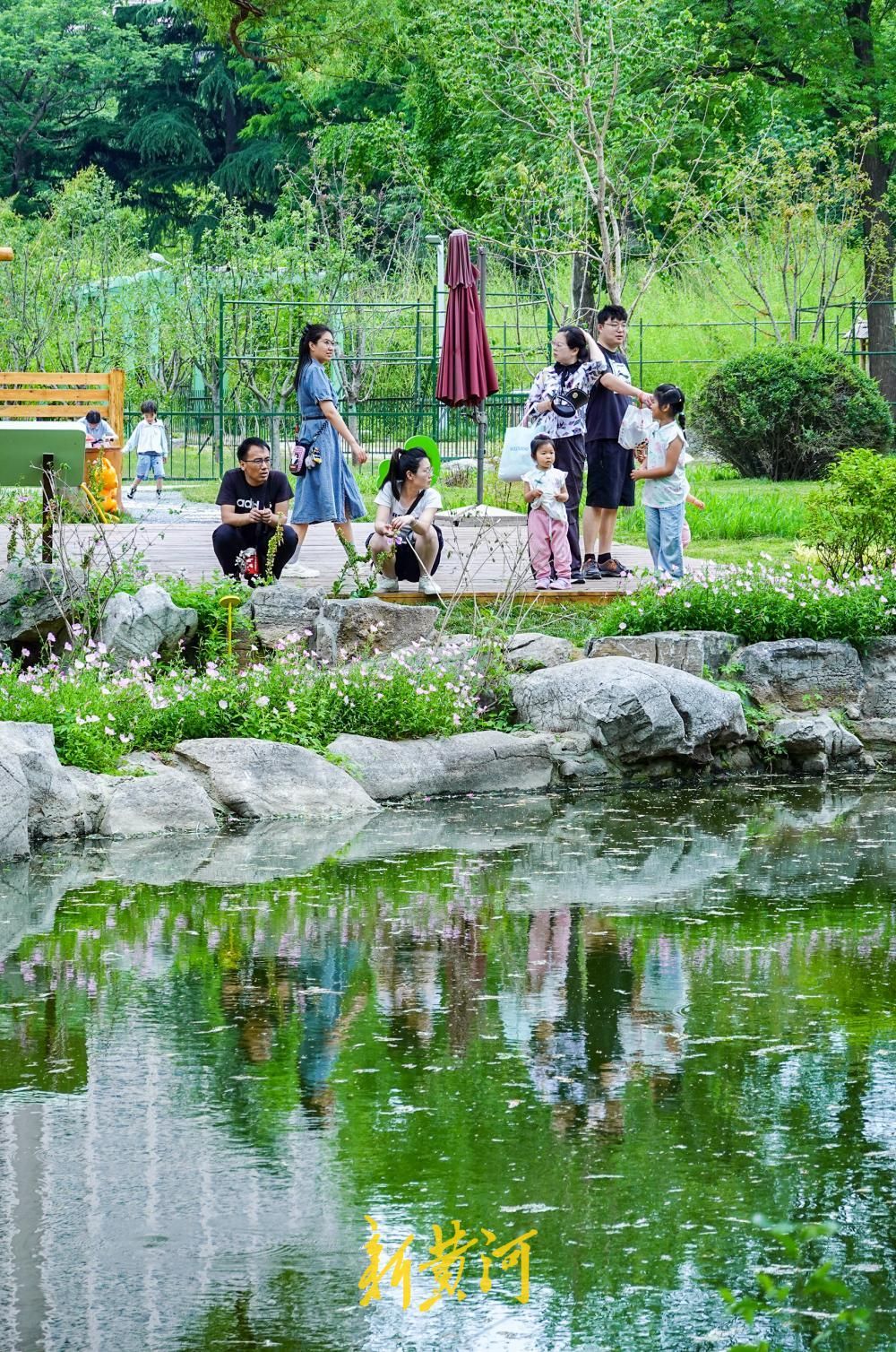 城市有“野”趣，济南首个生境花园里人与动物共享绿色家园