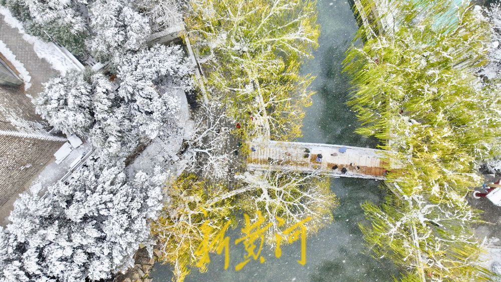 泉城冬雪映碧水，玉柳琼枝入画来