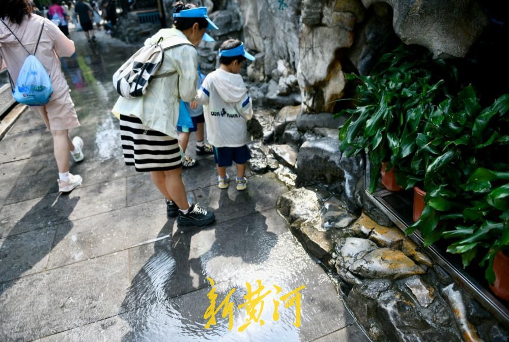 黑虎泉地下水位达29.79米创今夏新高，泉畔再现“清泉石上流”