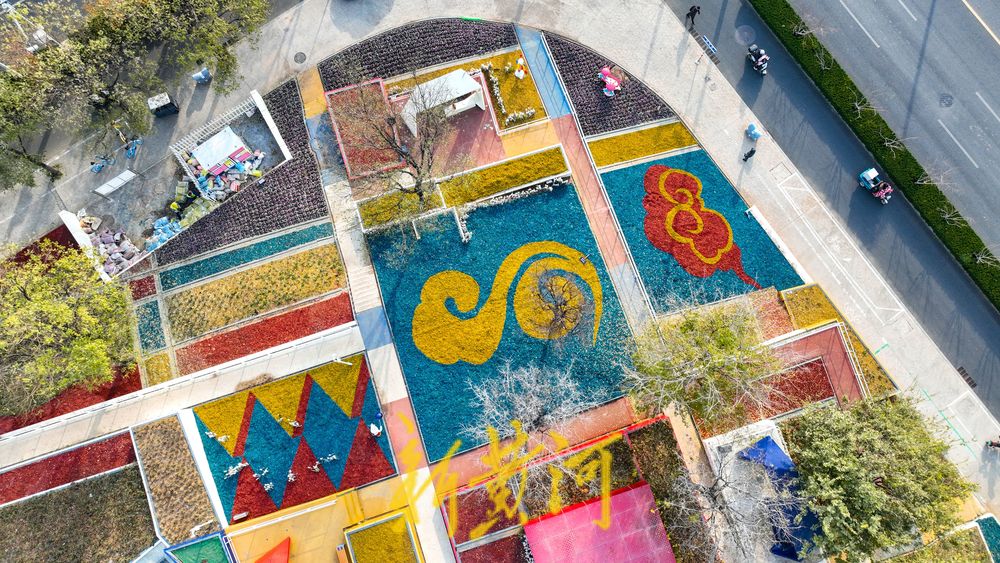 济南这处七彩花田迎来冬季版