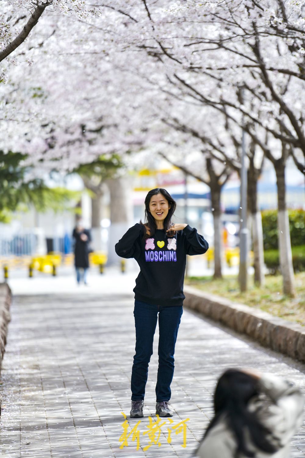 樱花广场迎来烂漫时 500多株轮番绽放