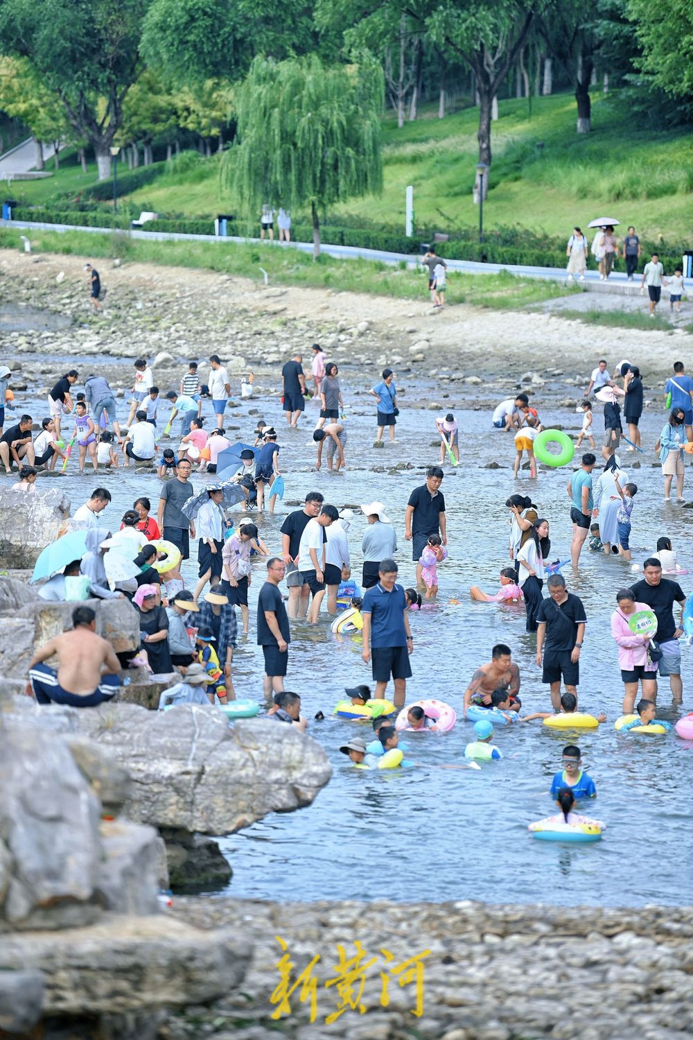 泉城中伏迎高温 济南市民小型湿地里戏水消夏