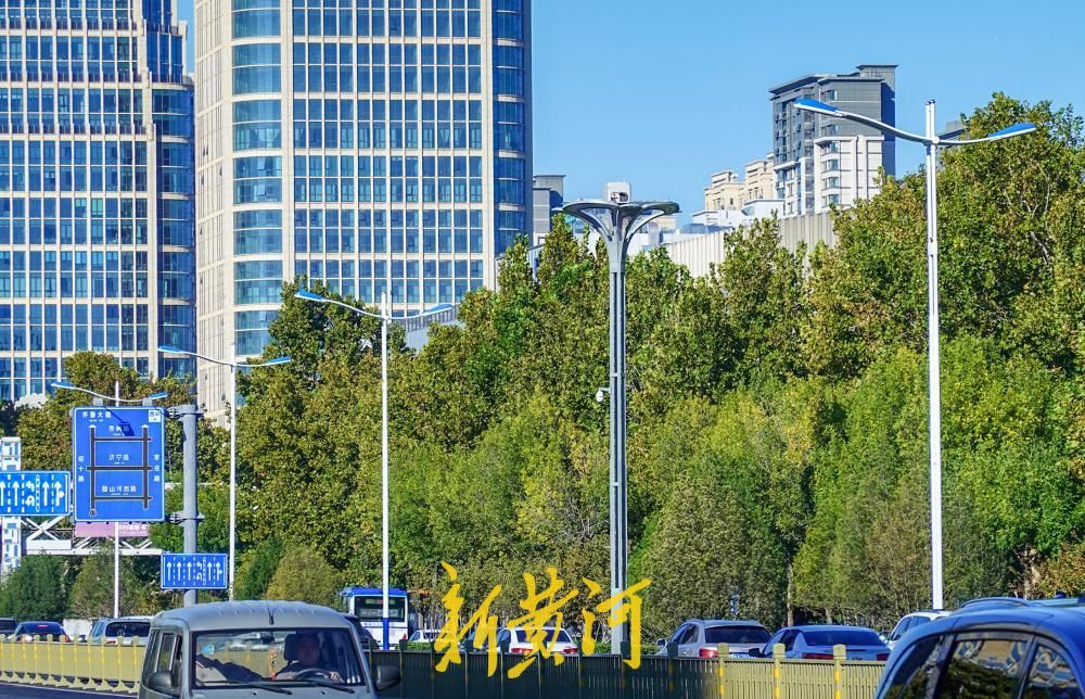 济南经十路西段路灯换新 风帆样式LED灯点亮出行路