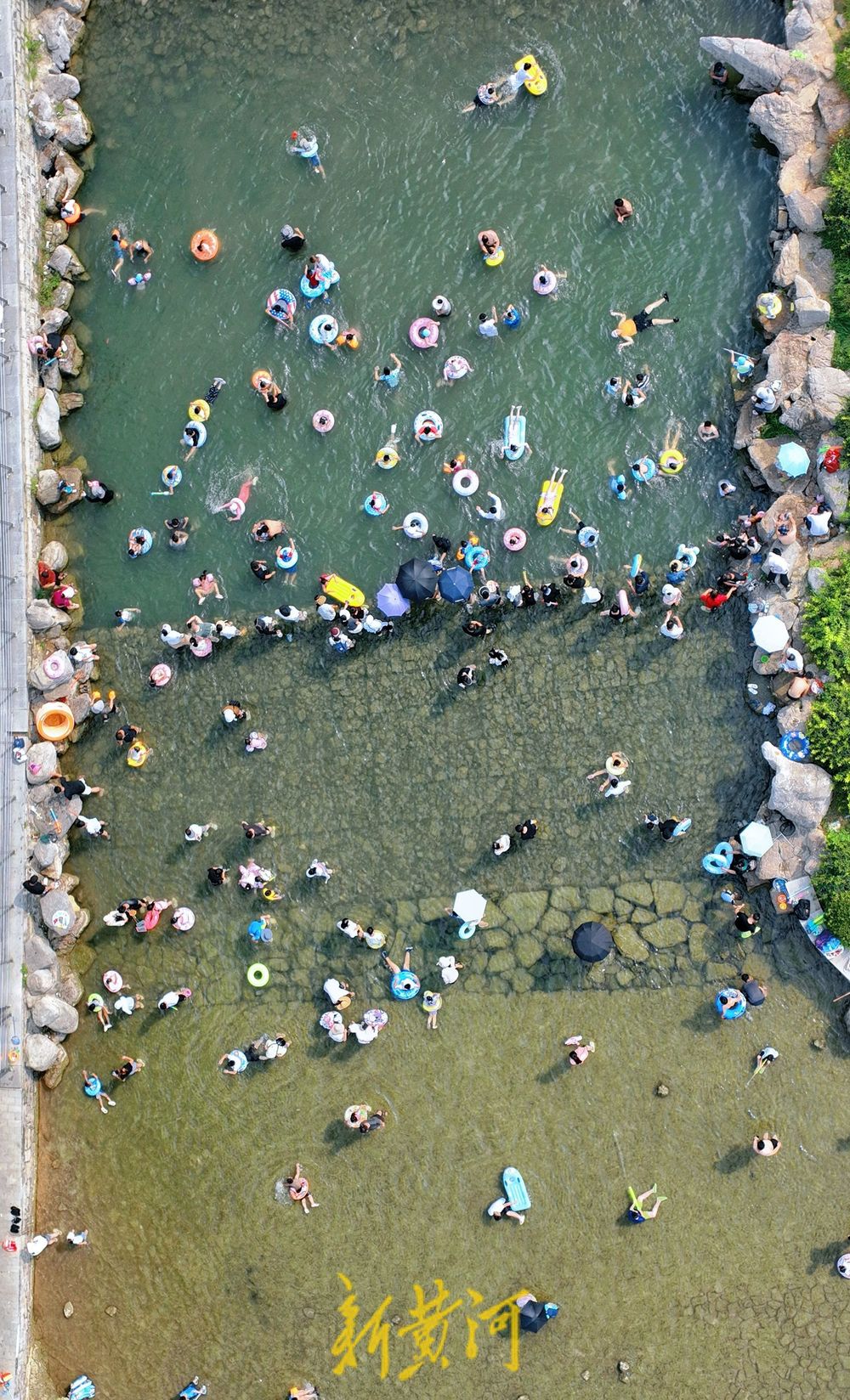 泉城中伏迎高温 济南市民小型湿地里戏水消夏