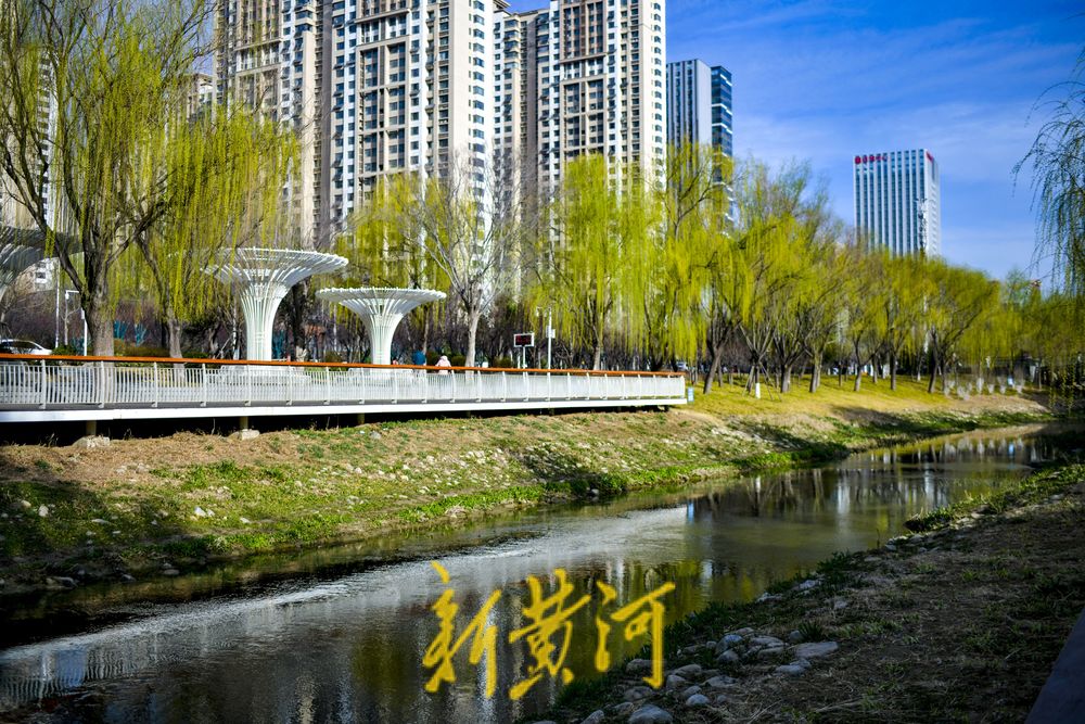 腊山河全线披绿，呈现亲水生态景观带