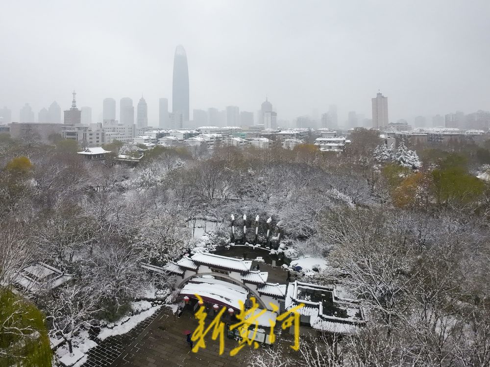 玉树琼枝，静谧如画！济南护城河雾霭流云，五龙潭琼枝映雪