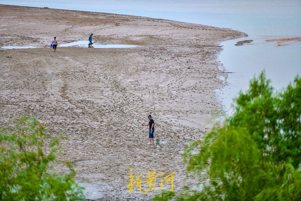 黄河济南段人造洪峰逐渐“退潮”，河滩露脸成纳凉好去处 