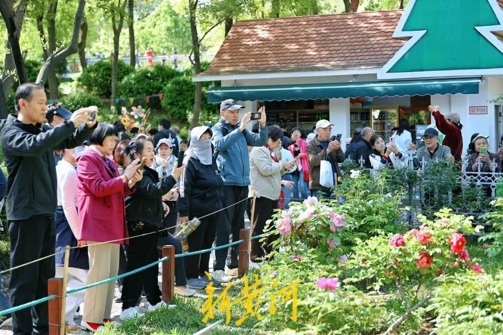 尽显国色天香 泉城公园牡丹园成济南春日顶流