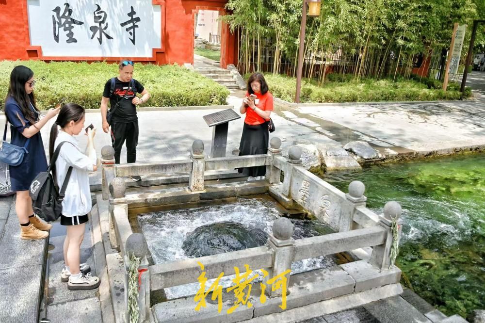 济南：观泉消暑正当时 墨泉喷涌盛景尽显泉城气韵