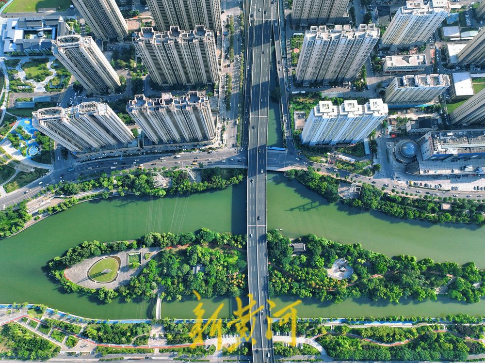 初秋时节，小清河景观带郁郁葱葱宛若盛夏