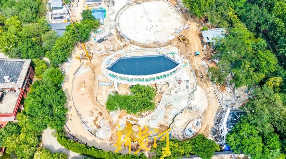 告别老泳池迎来新街区，泉城公园水上世界变身“自然造物街区”