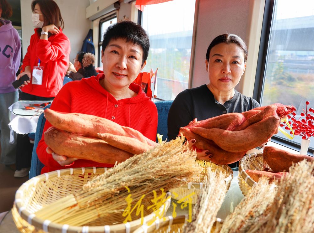 济南银发慢火车 解锁乡村慢时光