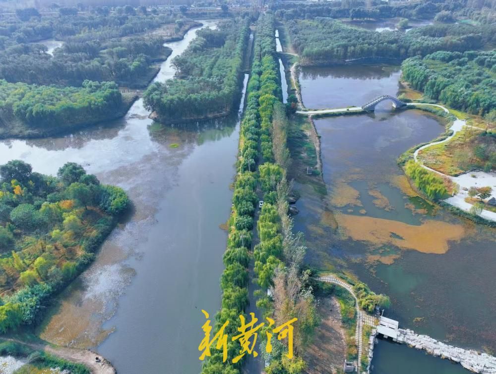 赏秋好去处，济南小清河源头湿地公园美景上线