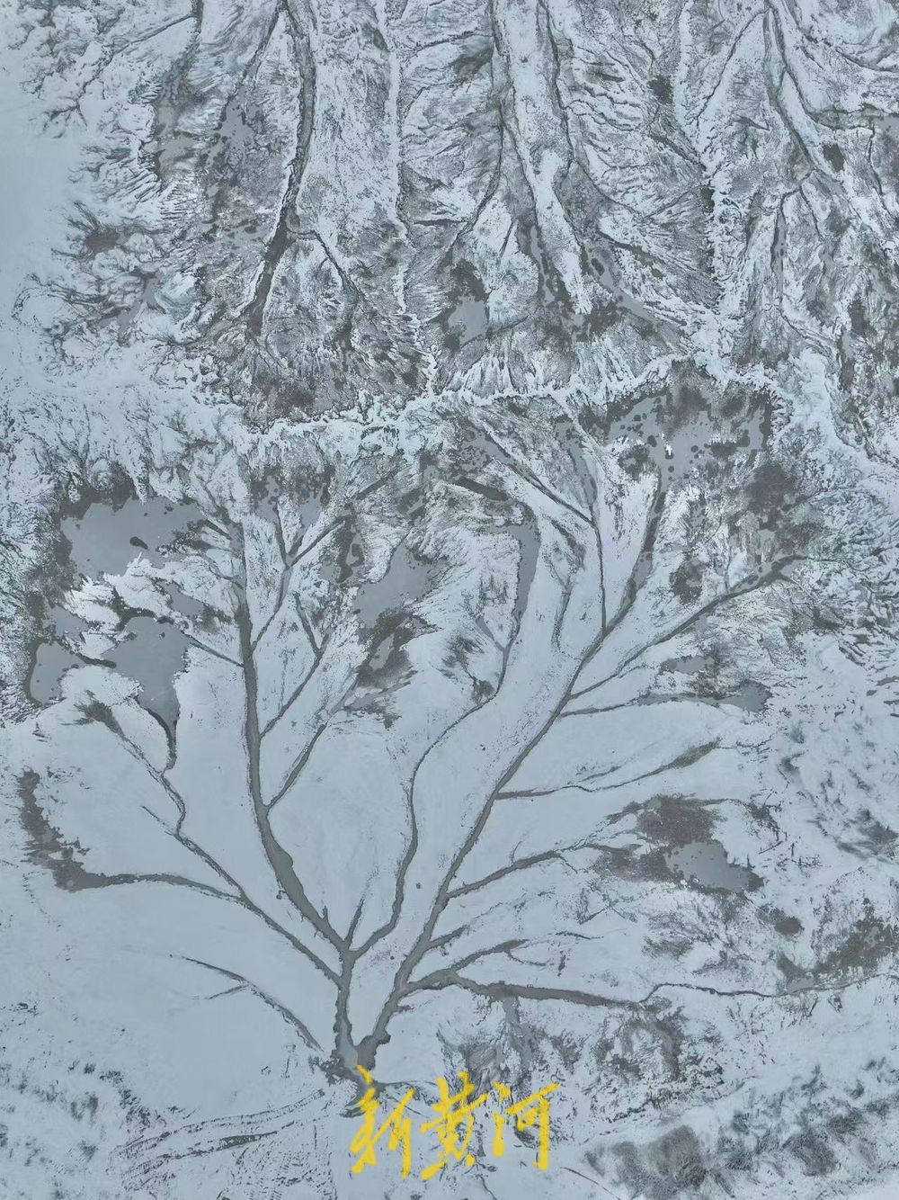 “冰雪潮汐树”现身济南黄河北岸，尽显自然之美