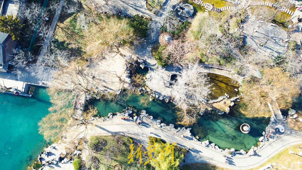 冬日暖阳映泉城 五龙潭碧水似丹青