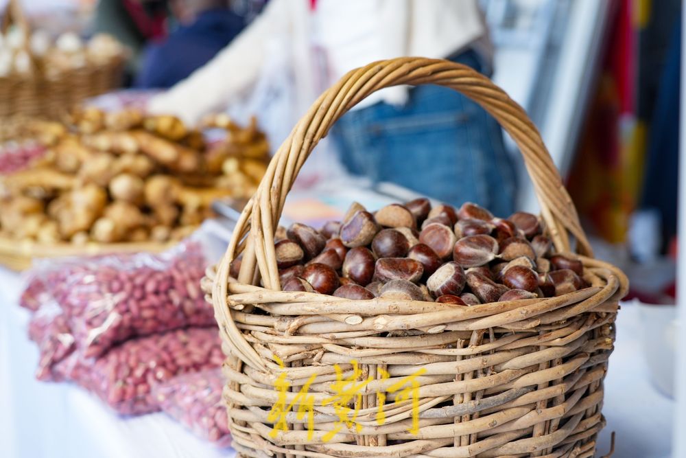 品牌引领庆丰收！“泉水人家”闪耀济南丰收节