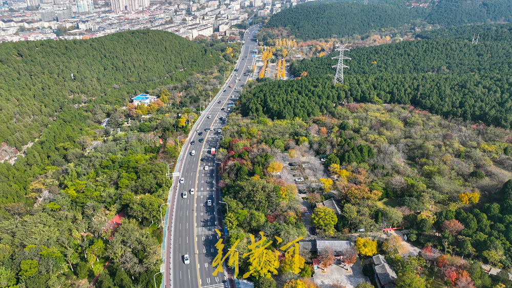 旅游路变身“初冬画廊” 千佛山南麓现层林尽染美景