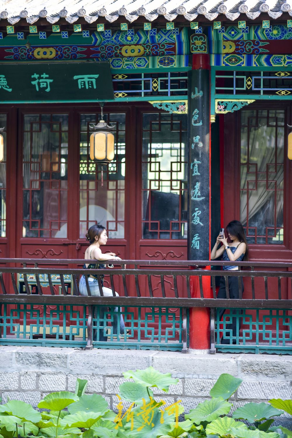 大明湖畔有“凉”方 赏荷打卡品美食  