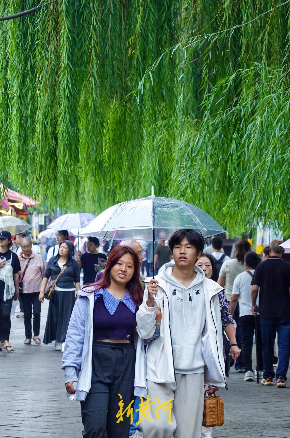 泉城迎来久违降雨，全市平均降水量仍较常年偏少