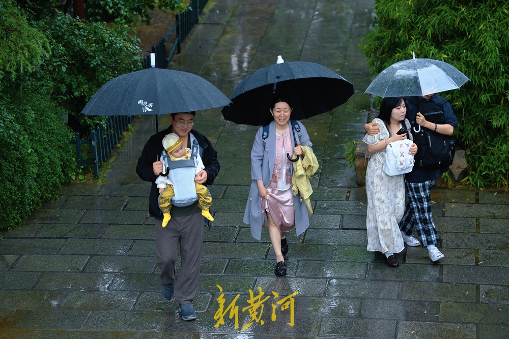 雨中漫步大明湖，邂逅翠绿朦胧中的浪漫