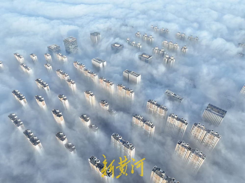 宛如天空之城  泉城现冬季“平流雾”景观