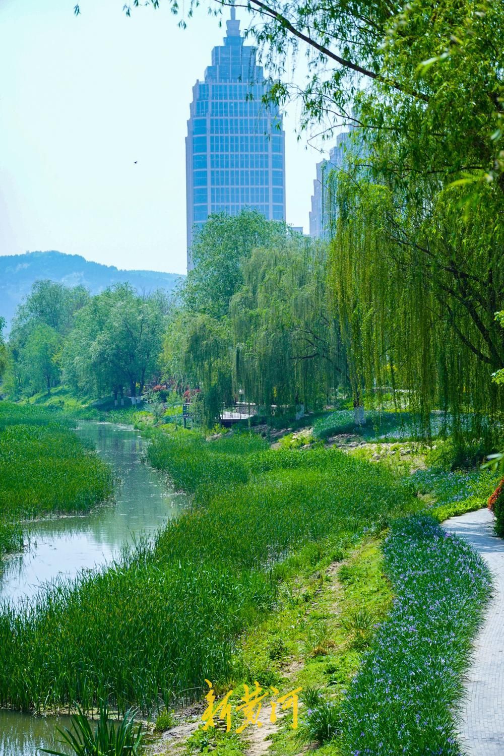 水清岸绿鸟归来，看济南腊山河畔的华丽蝶变