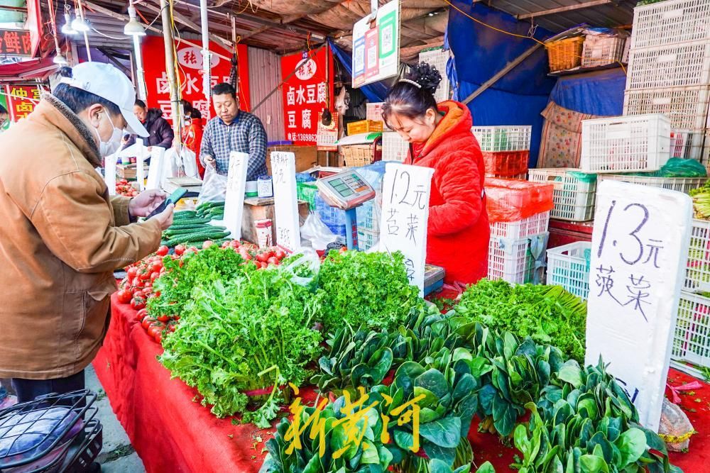 节后首日济南蔬菜供应充足,价格明显回落