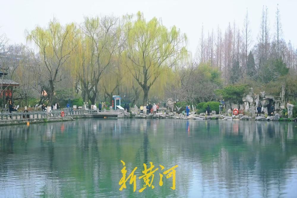 惊蛰花开，济南五龙潭春花怒放