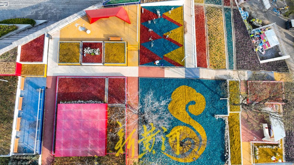 济南这处七彩花田迎来冬季版