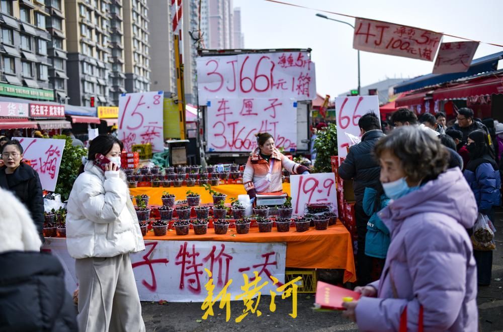 物美价廉接地气！济南城区里的大集成购置年货好去处