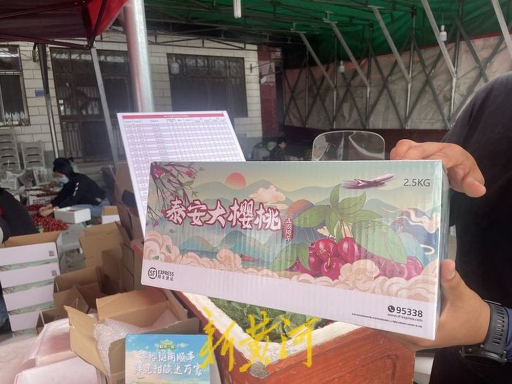 泰安大樱桃有了高铁专列！当日即达北京市民餐桌