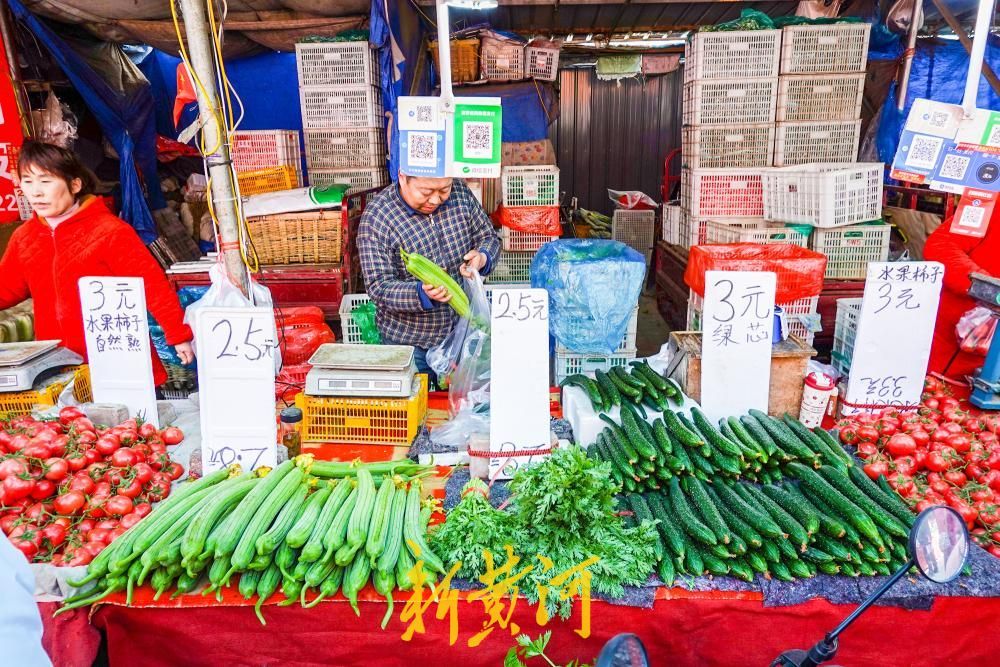 节后首日济南蔬菜供应充足,价格明显回落