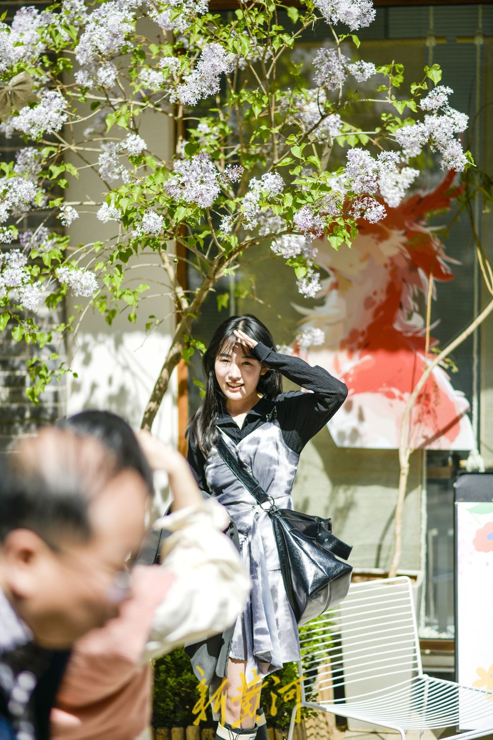 春花齐放增添浪漫气息 老商埠开启春日打卡潮