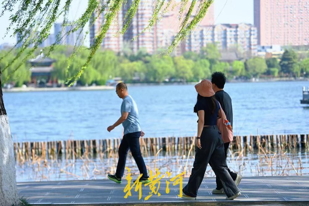大明湖迎客流高峰 游人行走湖畔宛若画中游