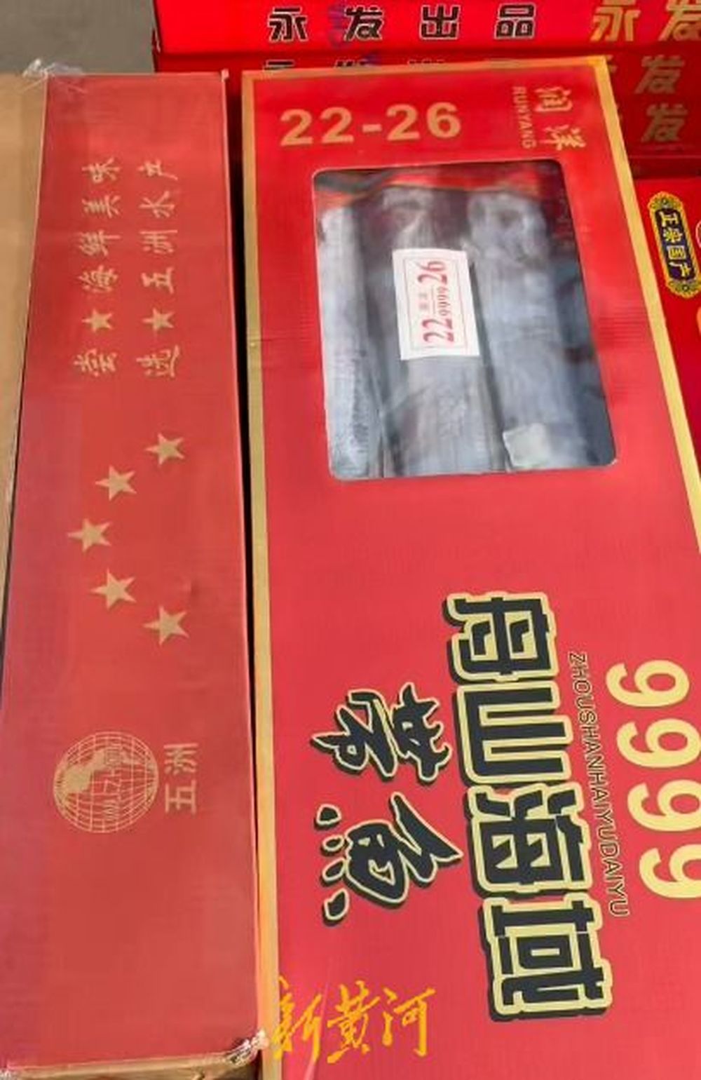 春节采购热“装满”菜篮子，记者实探济南农产品市场：白菜萝卜寓意好，带鱼虾仁成C位