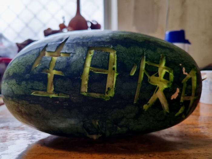 象妈妈“撒宽”41岁啦！济南动物园举办了一场别出心裁的生日庆典