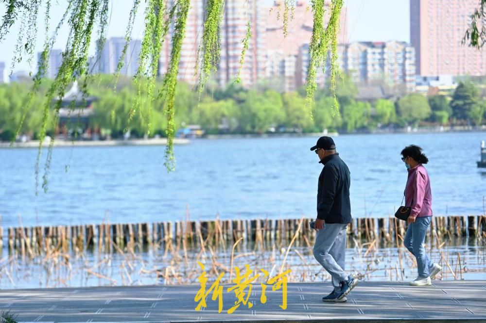 大明湖迎客流高峰 游人行走湖畔宛若画中游