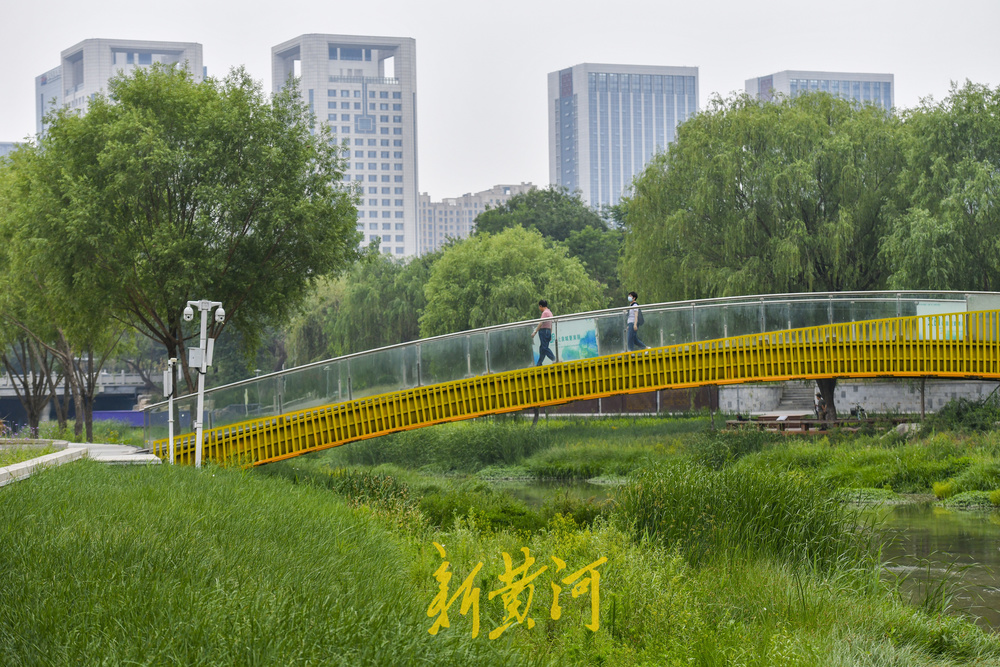 济南腊山河生态环境提升，为鸟儿觅食提供好去处
