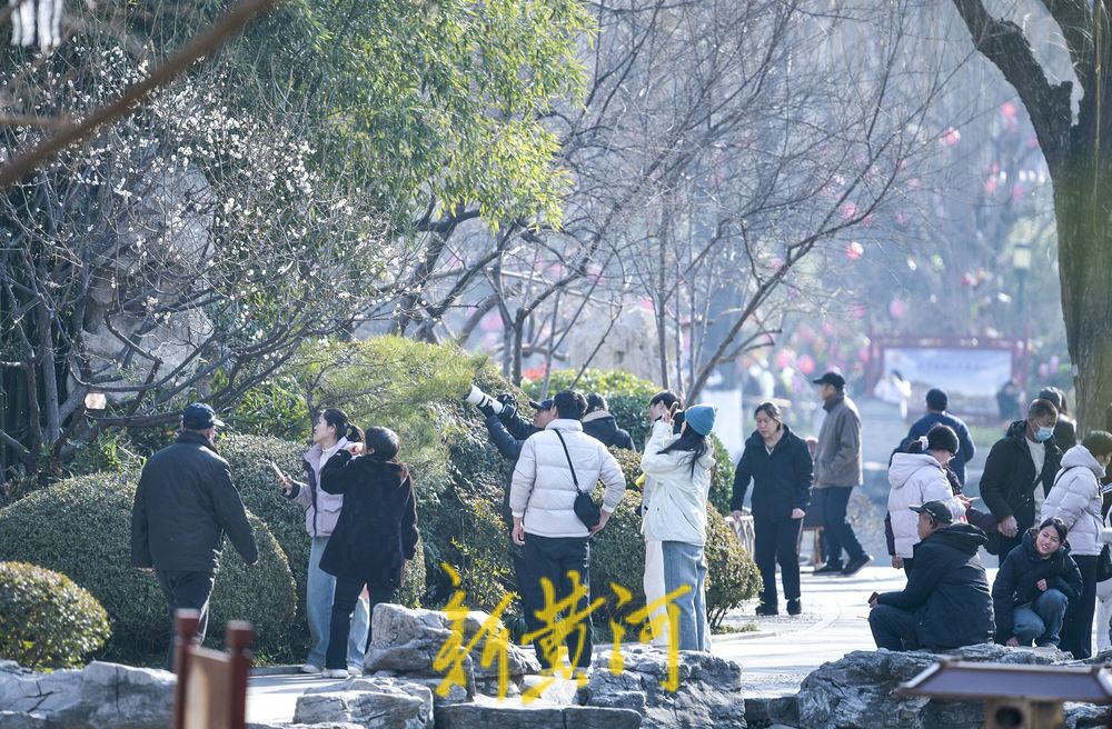 三九时节迎“小阳春” 泉城暖阳下赏泉人气旺   