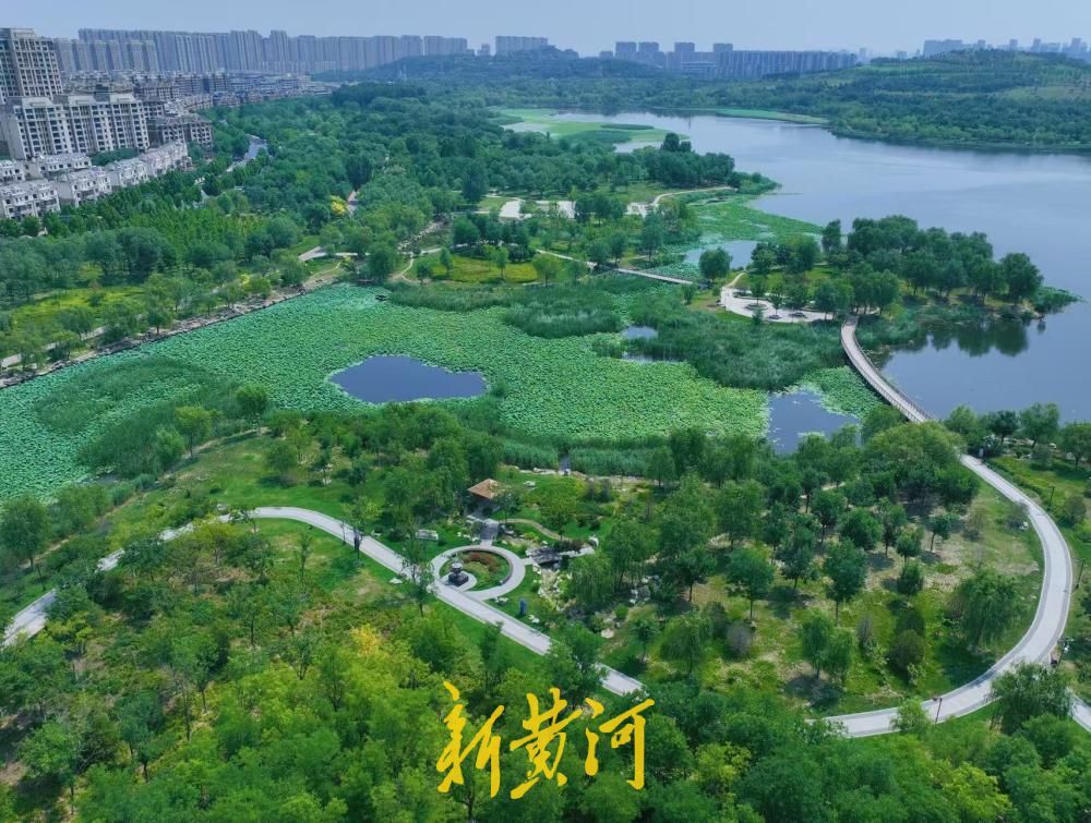 藏在济南的避暑圣地 华山湖畔绿意正盛遮酷暑
