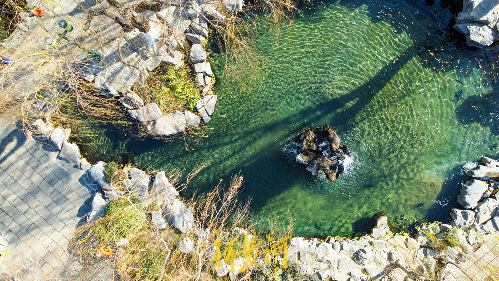 冬日暖阳映泉城 五龙潭碧水似丹青