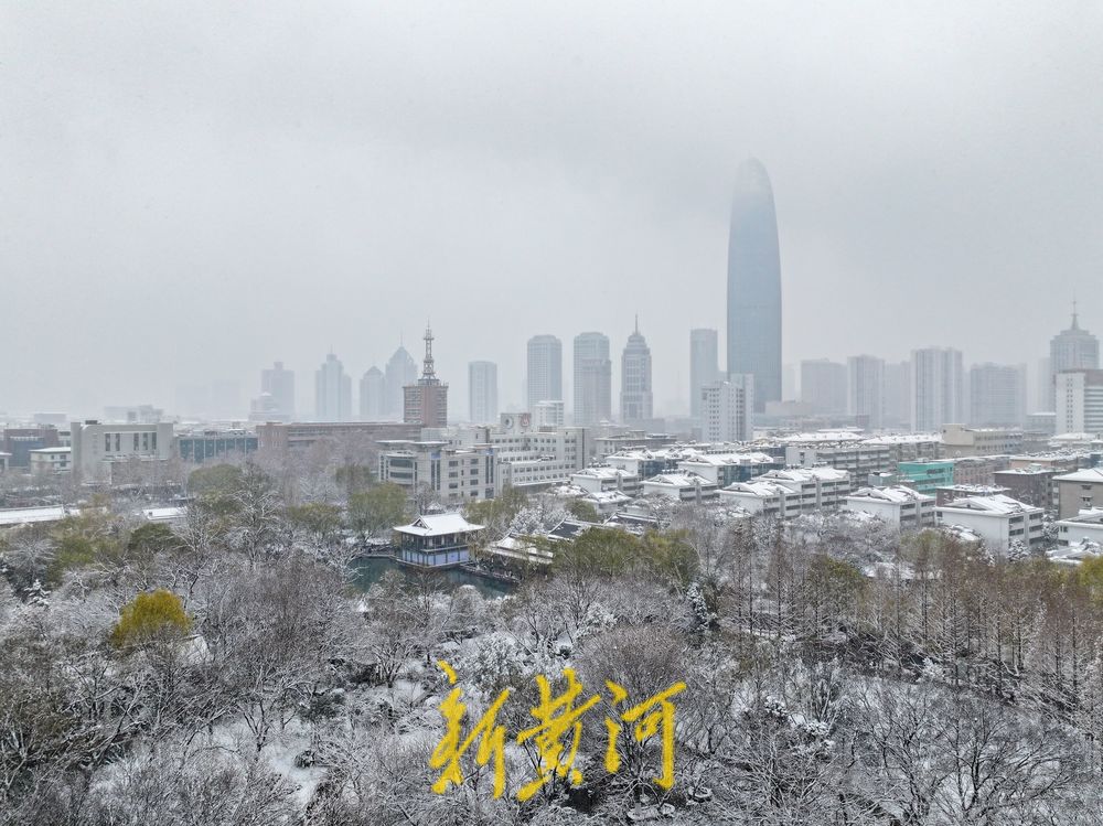 玉树琼枝，静谧如画！济南护城河雾霭流云，五龙潭琼枝映雪